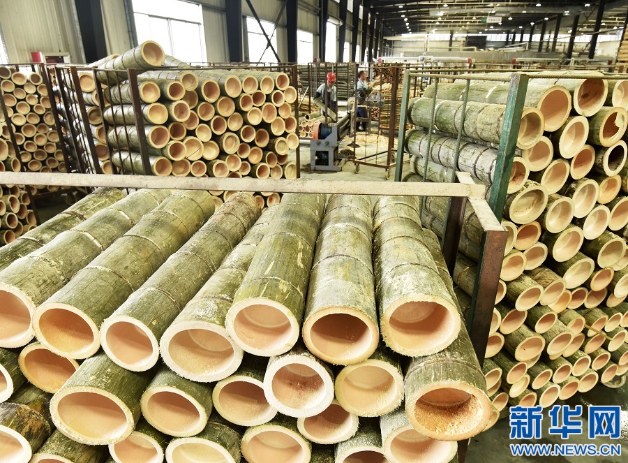 江西资溪:加快毛竹产业转型升级 推动竹产业高质量发展